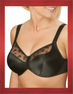 Large Bras