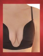 Plunge Bra