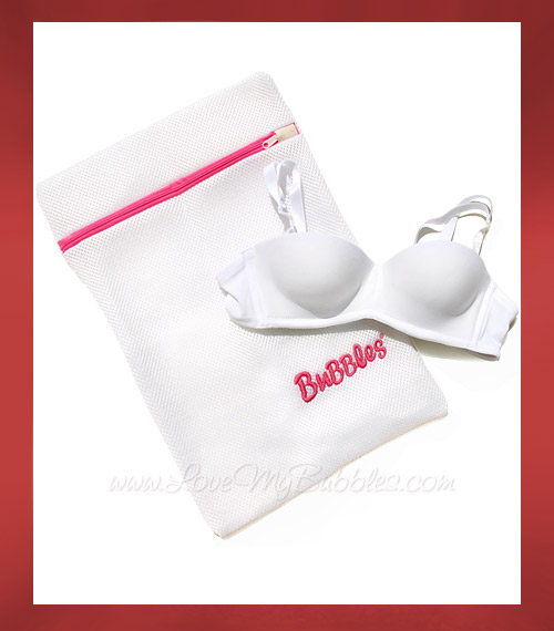 Large Rectangle Lingerie Laundry Bra Wash Bag