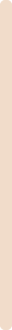 Beige swatch