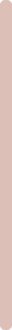 Blush swatch